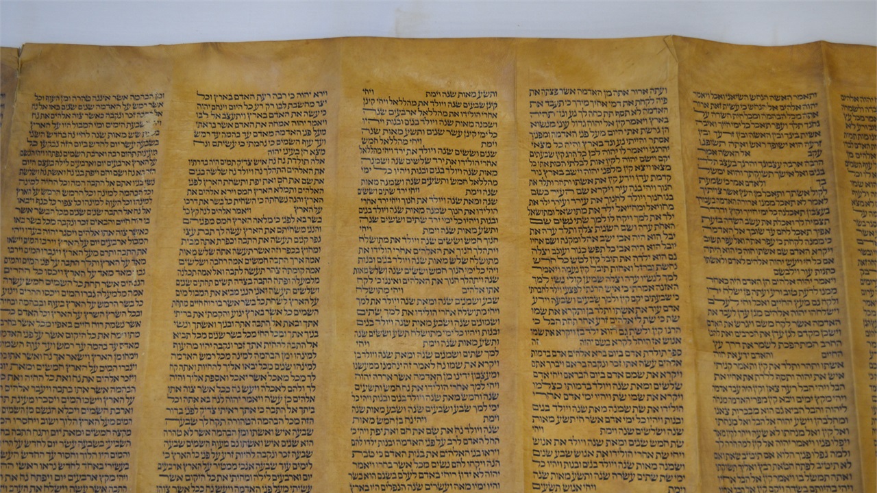 The Word of God: Why I Trust the Bible