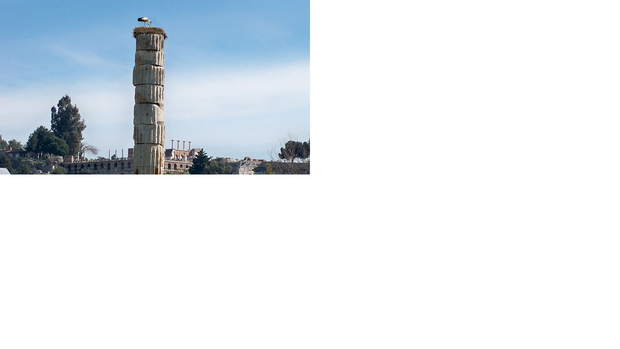 And Then We Saw the Storks: God's Loyal Love and DTS