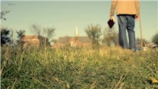 The Wonder, the Joy, the Practicality of God's Word