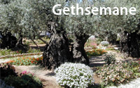 Garden of Gethsemane
